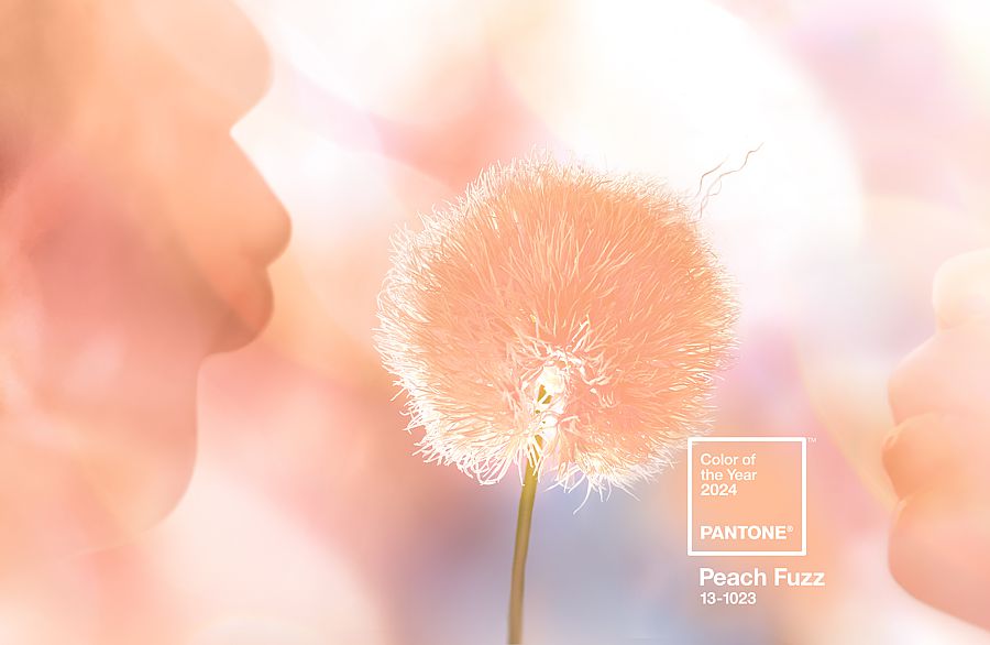 Peach Fuzz, Pantone's Color of the Year 2024.